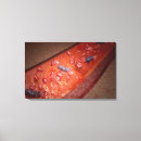 Suche nach bakterien leinwandbilder Illustration