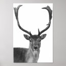 Suche nach stag poster Modern