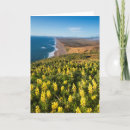 Suche nach reyes karten Strand