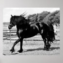 Suche nach love animals poster Horse