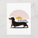 Suche nach kleine dame postkarten Dachshund notizkarten