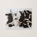 Suche nach schlaf puzzle Fotografie