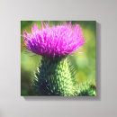 Suche nach siegel leinwandbilder Fotografie