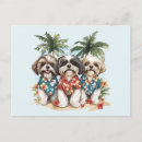 Suche nach shih tzu postkarten Liebhaber