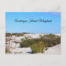 Suche nach assateague postkarten Maryland