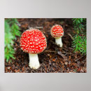 Suche nach wulstling kunst Toadstool
