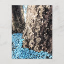 Suche nach baumrinde postkarten Wald