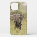 Suche nach elefant iphone hüllen Landschaft