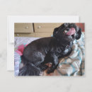 Suche nach zunge postkarten Fotografie