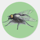 Suche nach grüner käfer aufkleber Insekten