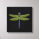 Suche nach libellen poster leinwandbilder Insekten