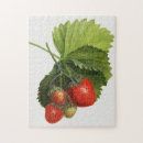 Suche nach erdbeeren puzzle Für sie