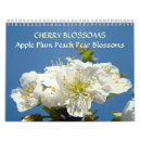 Suche nach kirschblüte kalender Blüten