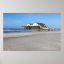 Suche nach pet poster Foto