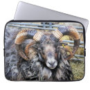 Suche nach schuhe laptop schutzhüllen Landwirtschaftliche betriebe