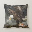 Suche nach weißkopfseeadler kissen Raubvögel