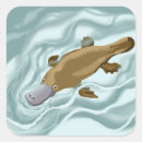 Suche nach platypuses aufkleber Australie