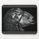 Suche nach schafe mousepads Porträt