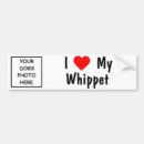 Suche nach whippets autoaufkleber Hund