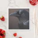Suche nach corvids Jede person