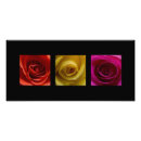 Suche nach triptychon poster Gelb