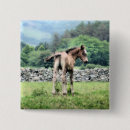 Suche nach fohlen accessoires Kalt