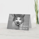 Suche nach wütende katze Lustig