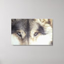 Suche nach tierauge leinwandbilder Natur