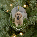 Suche nach hunde ornamente Weihnachten