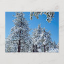 Suche nach schneebedeckte bäume postkarten Blau