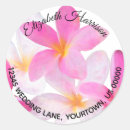 Suche nach plumeria aufkleber Exotisch