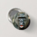 Suche nach lustiger gorilla buttons Gorillas
