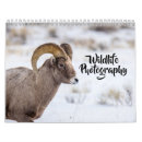 Suche nach wildlife kalender Tier