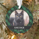 Suche nach büffel ornamente Grün