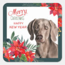 Suche nach weimaraner aufkleber Aquarell