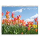 Suche nach rote blumen kalender Tulpe