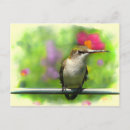 Suche nach kolibris postkarten Flügel