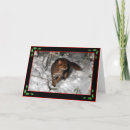 Suche nach gepunktete katze postkarten Stellen