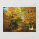 Suche nach ohio parks postkarten Herbst