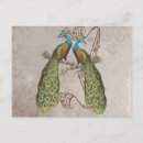 Suche nach vintager pfau postkarten Gäste