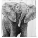 Suche nach elefant zeichnen wohnen zuhause Für alle