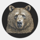 Suche nach brown bear aufkleber Tragen
