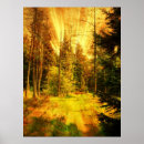 Suche nach heller wald poster Sonnenlicht