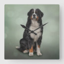 Suche nach breed wanduhren Canine
