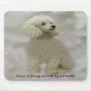 Suche nach pudel mousepads Hund