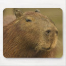 Suche nach mcdonalds mousepads Joe mcdonald