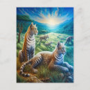 Suche nach blickfang postkarten Katzen