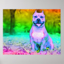 Suche nach buell poster Pitbullen