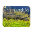 Suche nach everglades magnete Sumpf