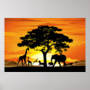 Suche nach afrikanische sonne poster Natur